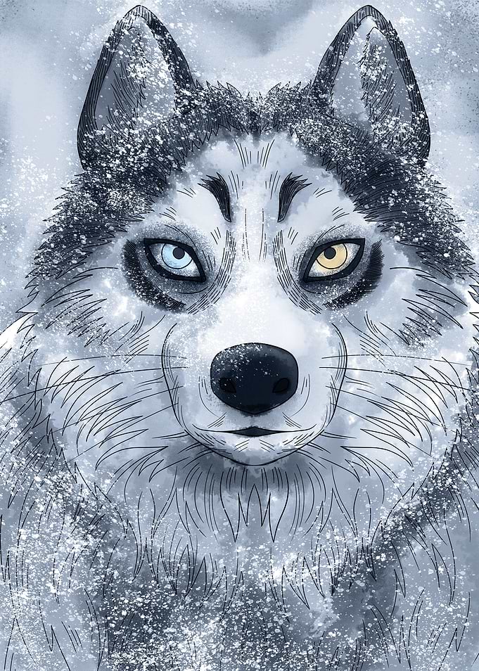 Nordic Dog