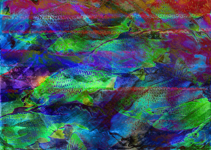 School of Fish