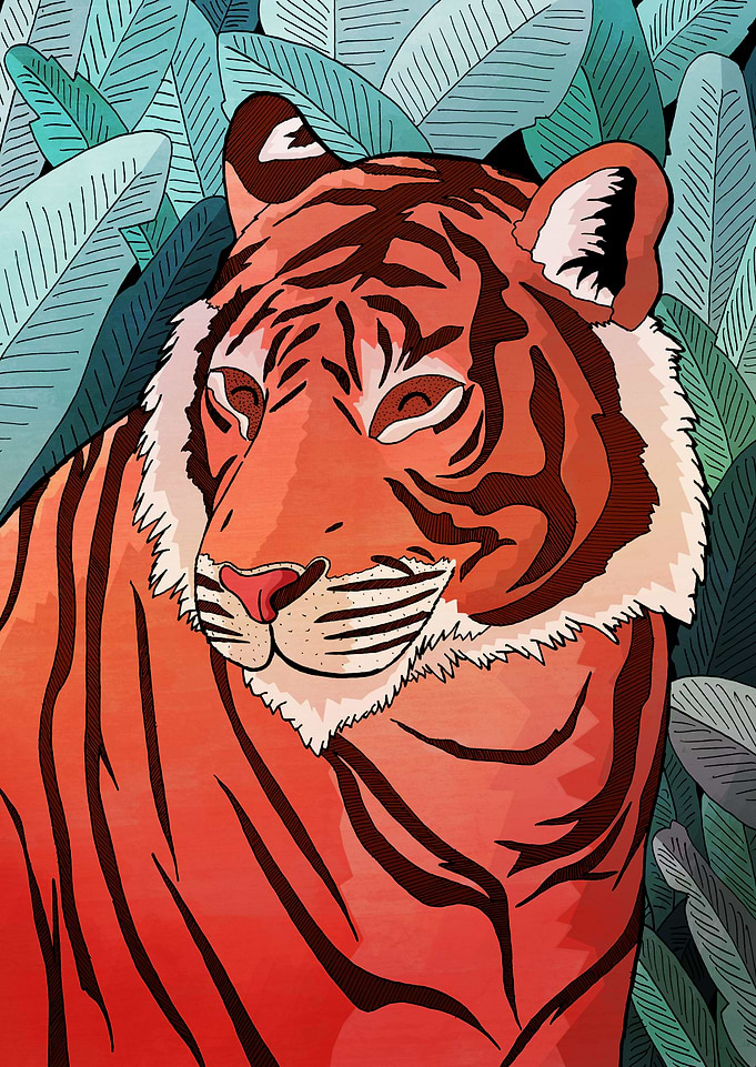 Tiger in the jungle