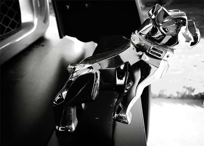 The Hood Ornament