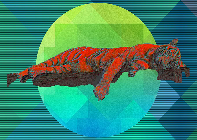 Sleeping Tiger