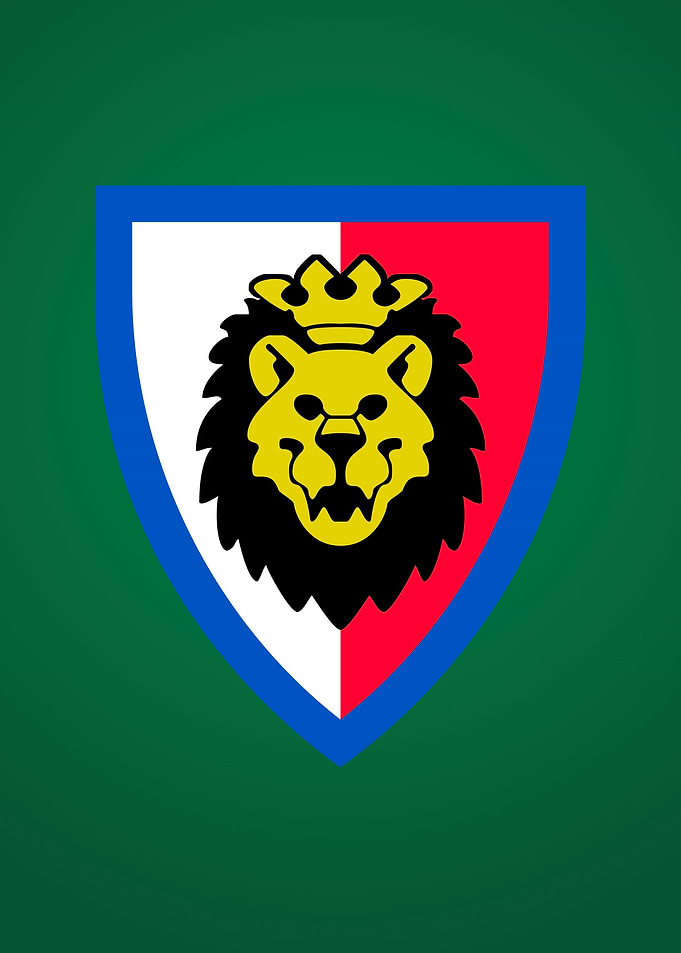 Lego System Royal Lion Shield