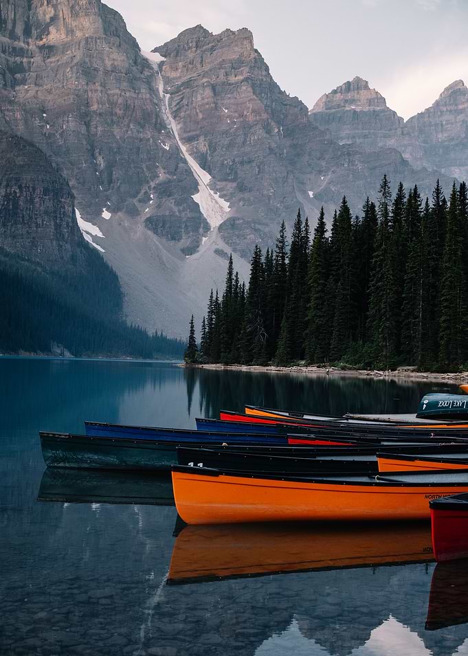 Within Nature
