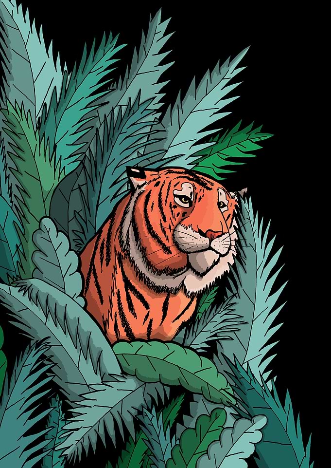 As the tiger emerged from the jungle