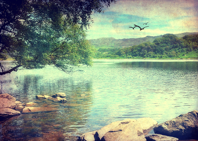Hidden Lake