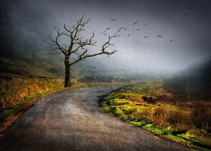Path to Nowhere