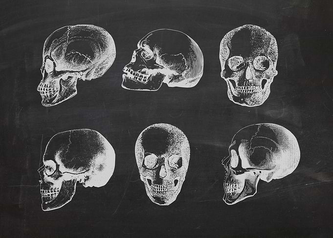 Blackboard skulls