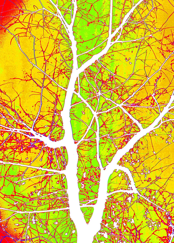 Psychedelic Central Tree