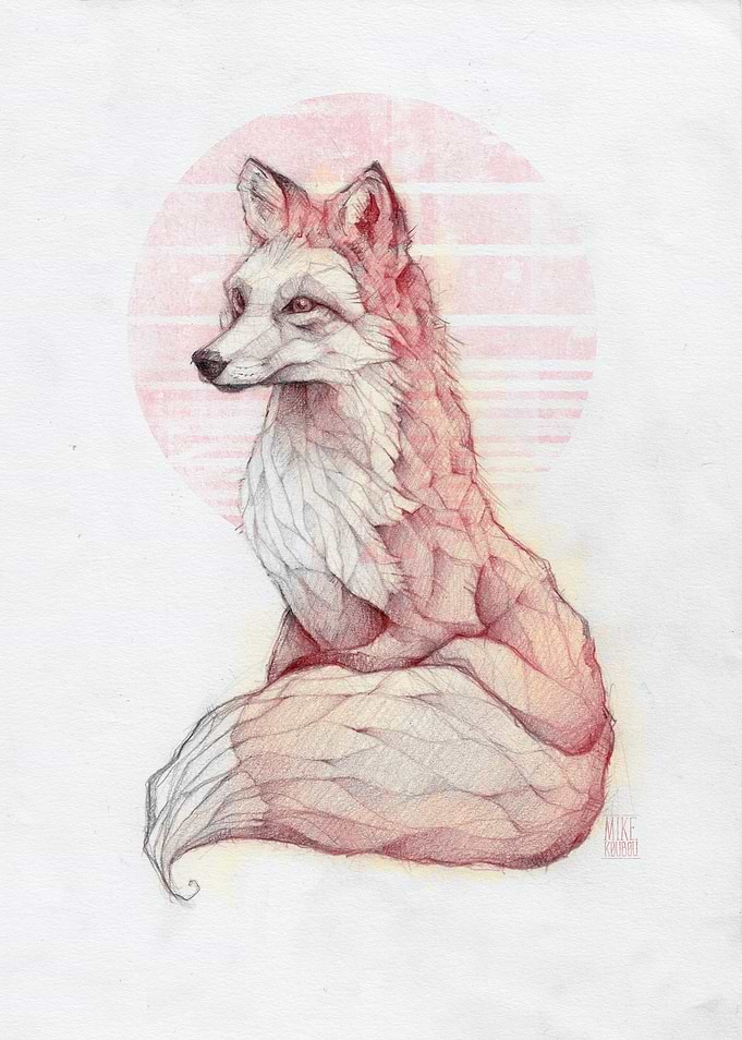 Vulpes Vulpes