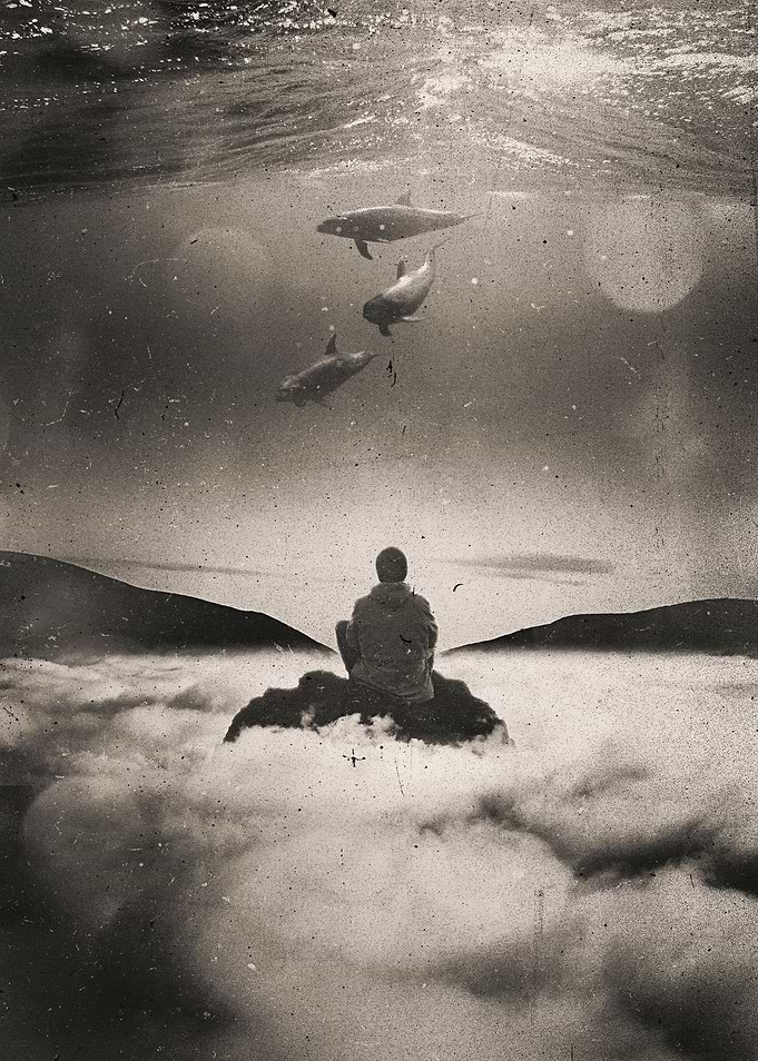 Flying or Swimming