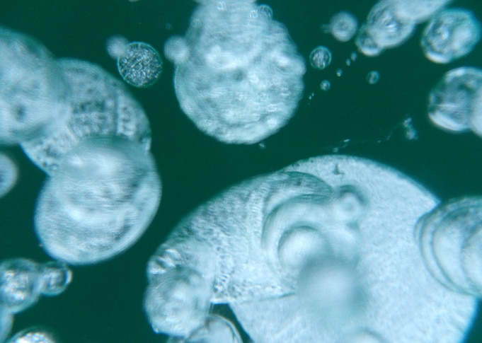 Frozen Bubbles 04