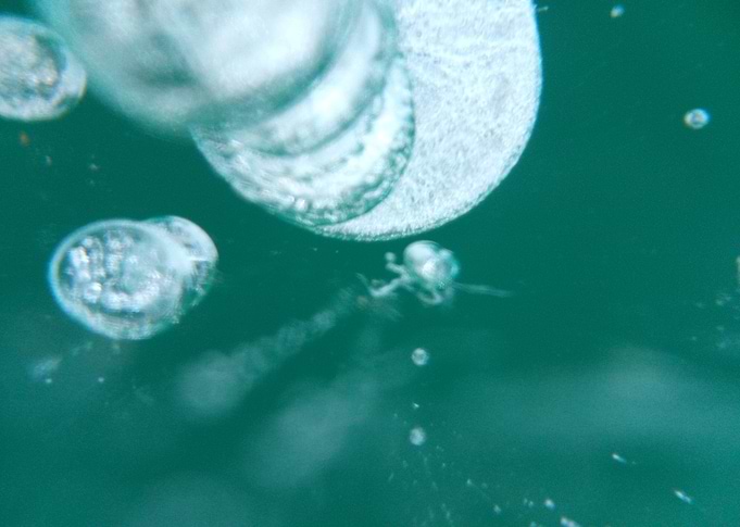 Frozen Bubbles 02