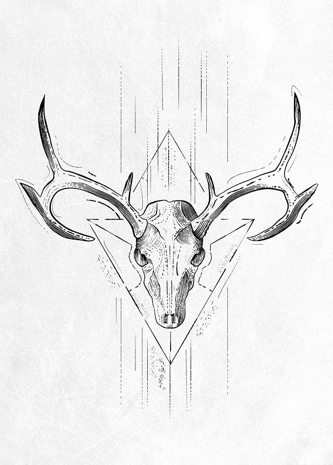Skull Antlers