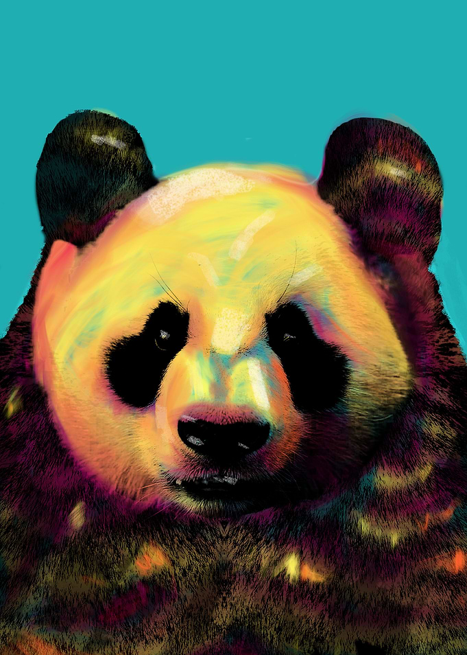 Panda