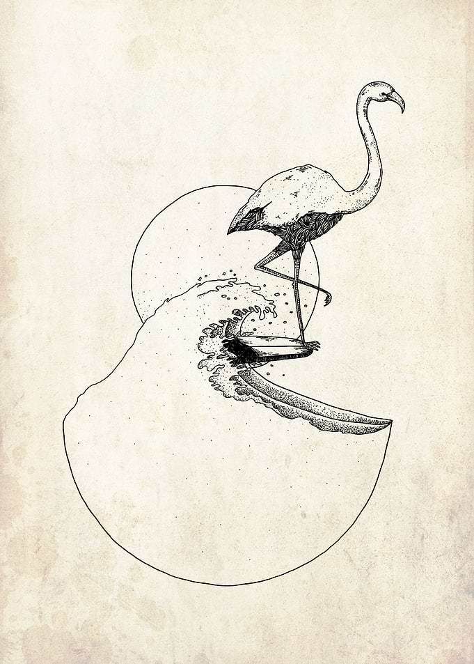 surfing flamingo