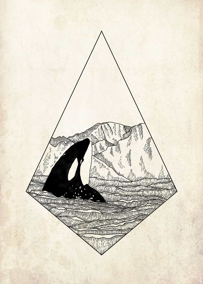 Orca in Nature