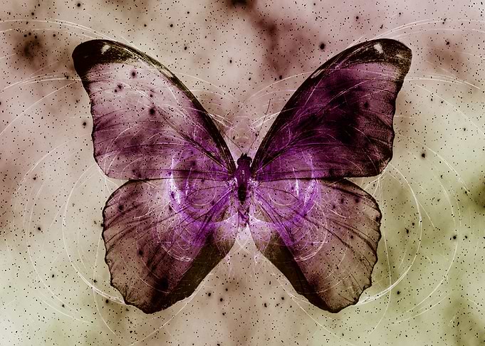 Space Butterfly 3
