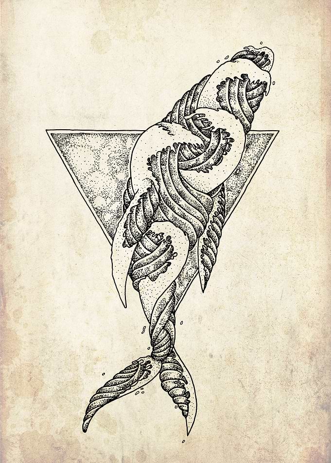 wavy whale triangle