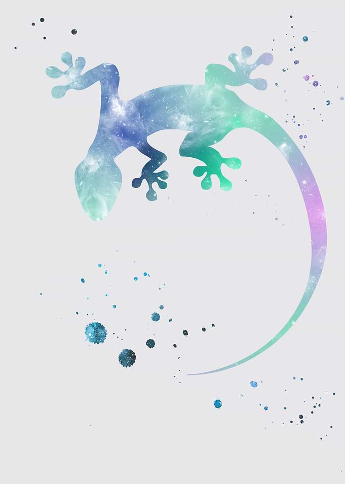 Gecko nebula
