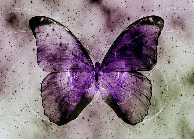 Space Butterfly 7