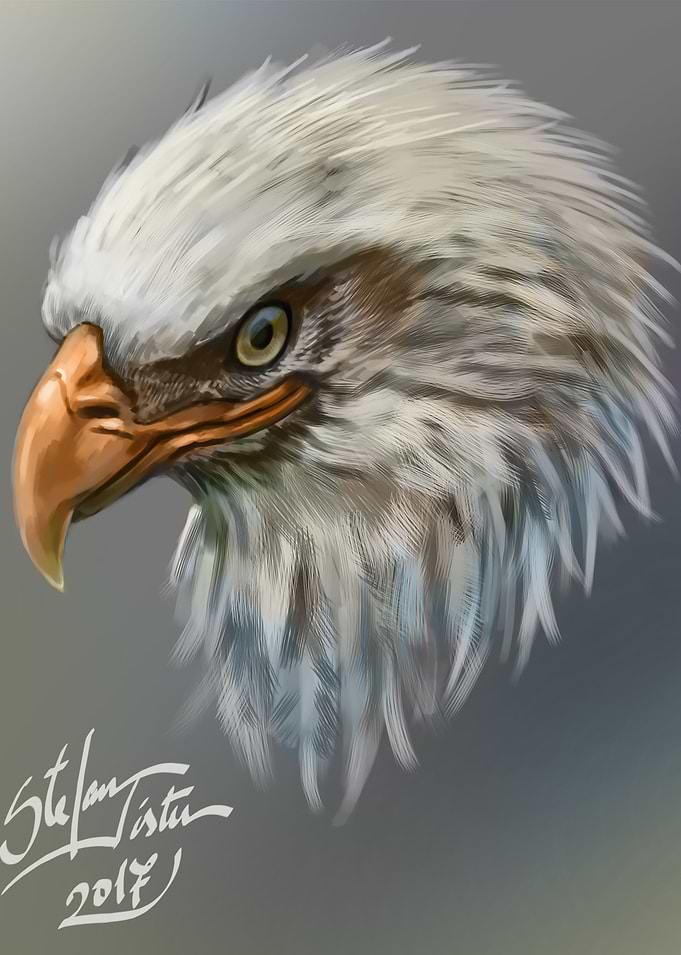 Eagle head
