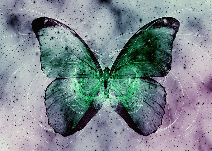 Space Butterfly 10