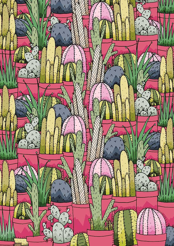 Cactus pots