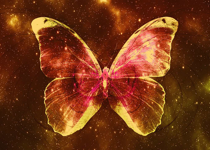 Space Butterfly 6