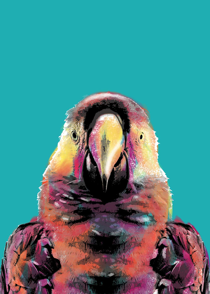 Parrot