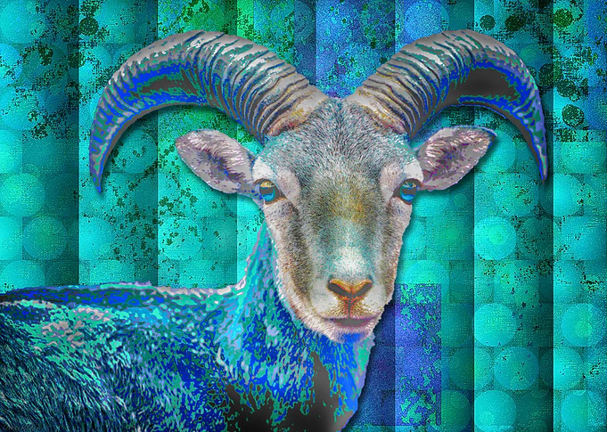 Billy Goat Blue
