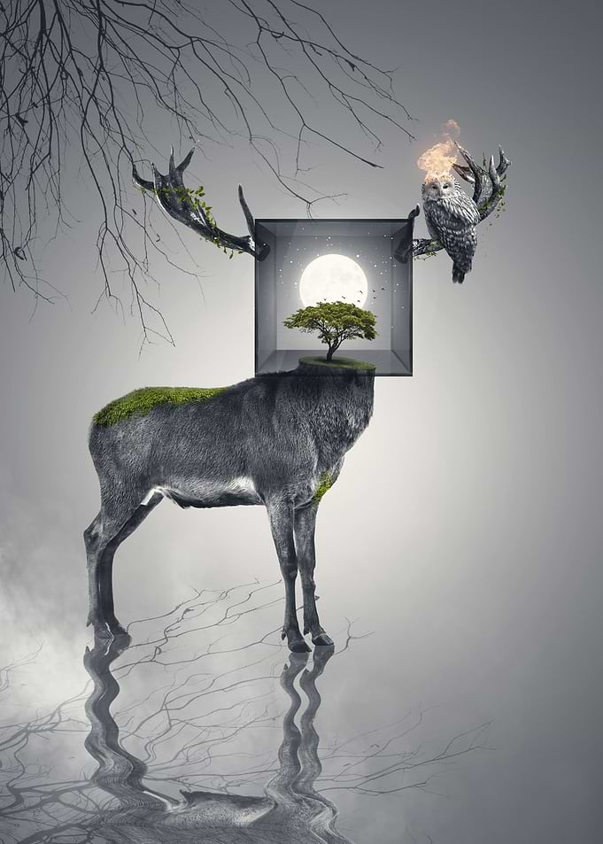 Within