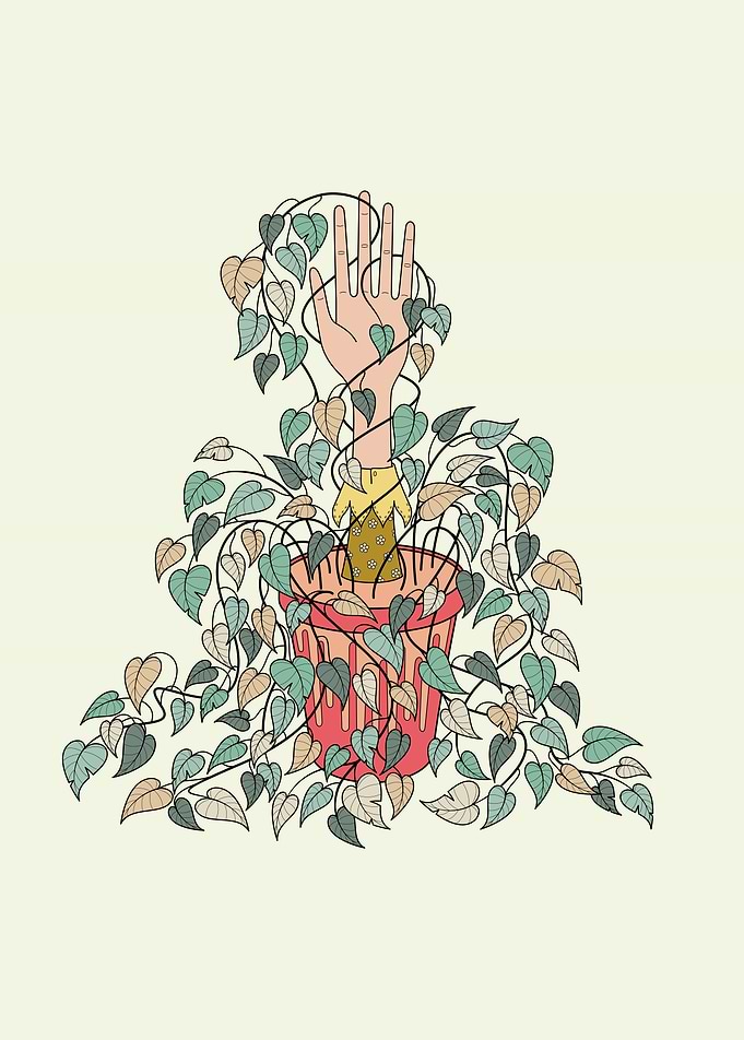 Pothos