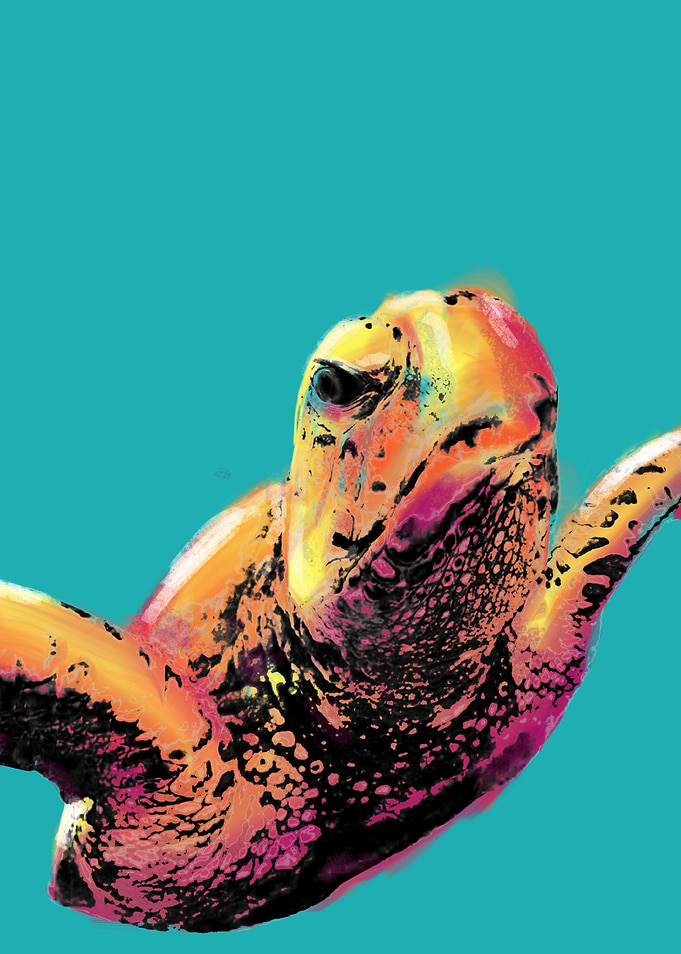 Turtle
