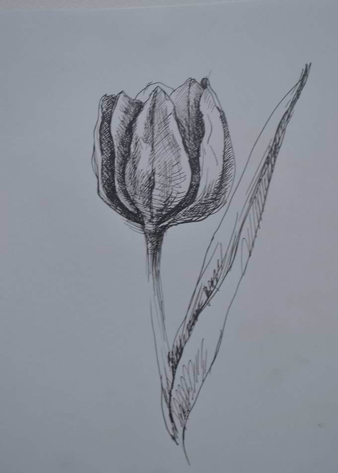 Ink tulip
