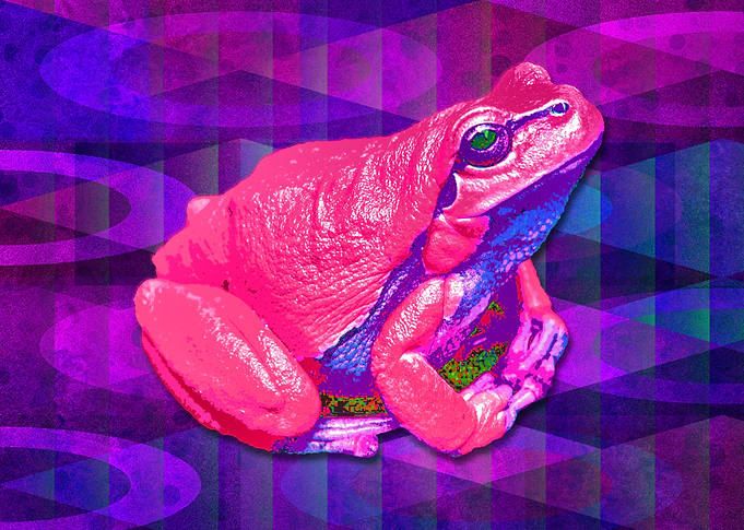 Raspberry Frog