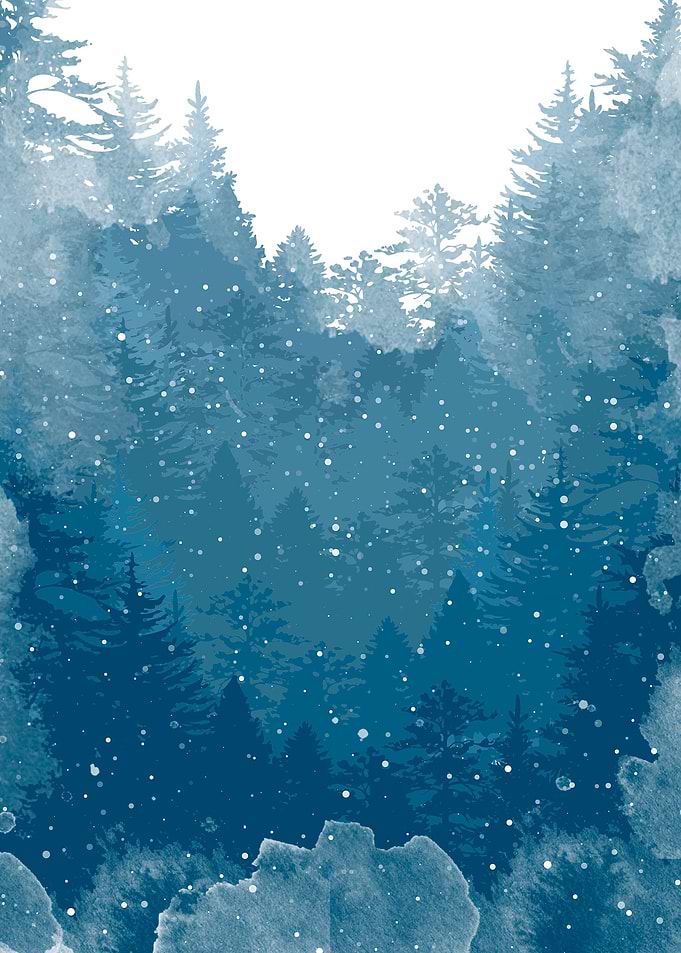 winter wonderland