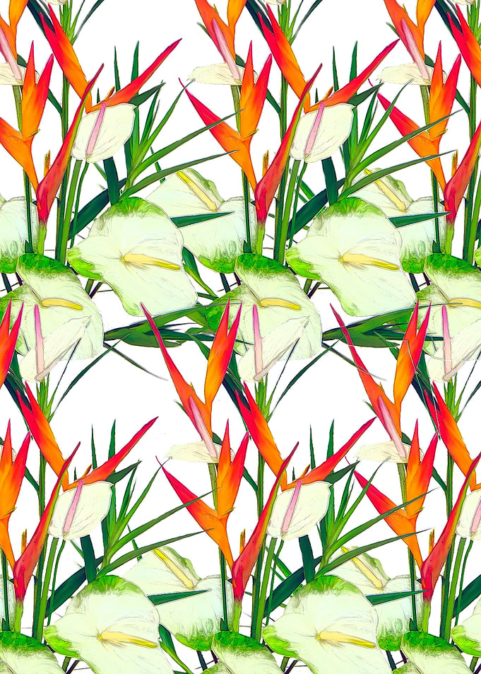 tropical plants