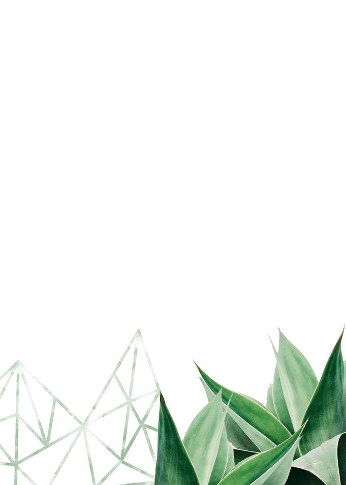 minimal nature