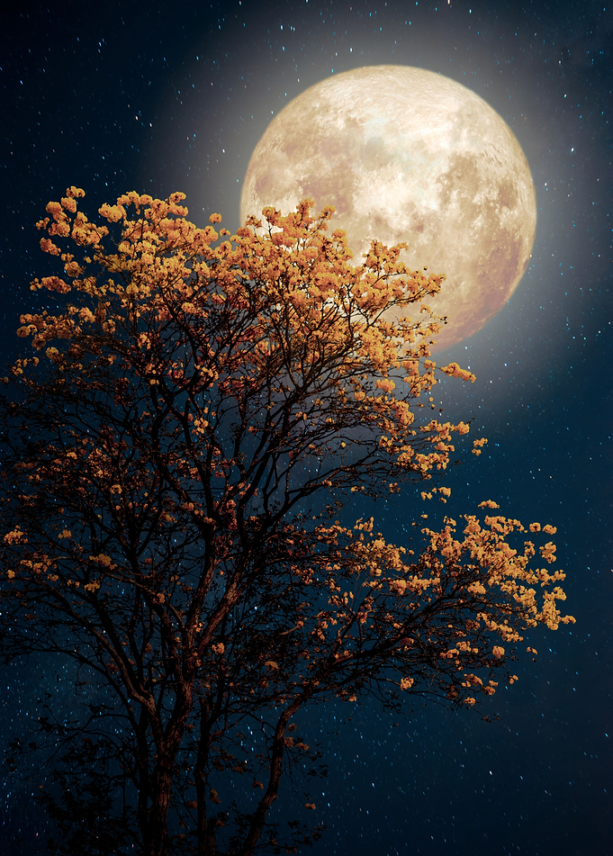 Under Full Moon