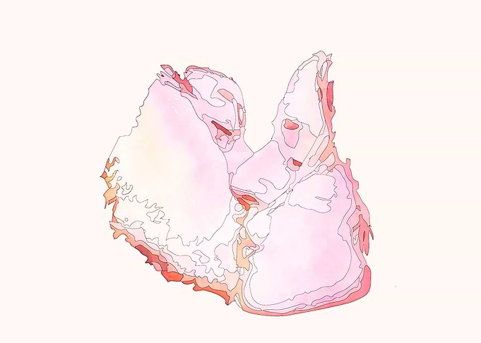 Lovers