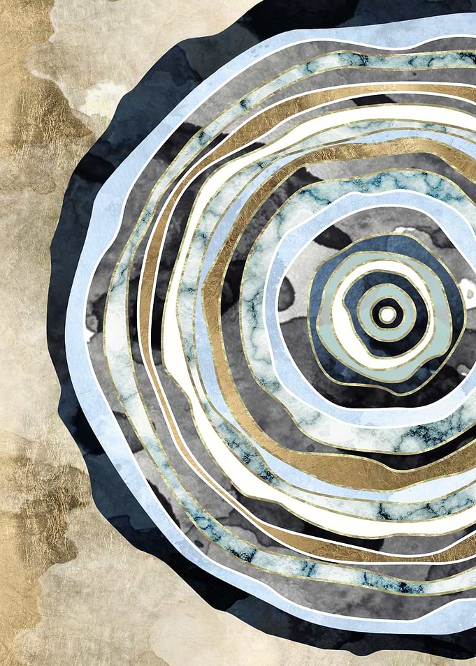 Wood Slice Abstract