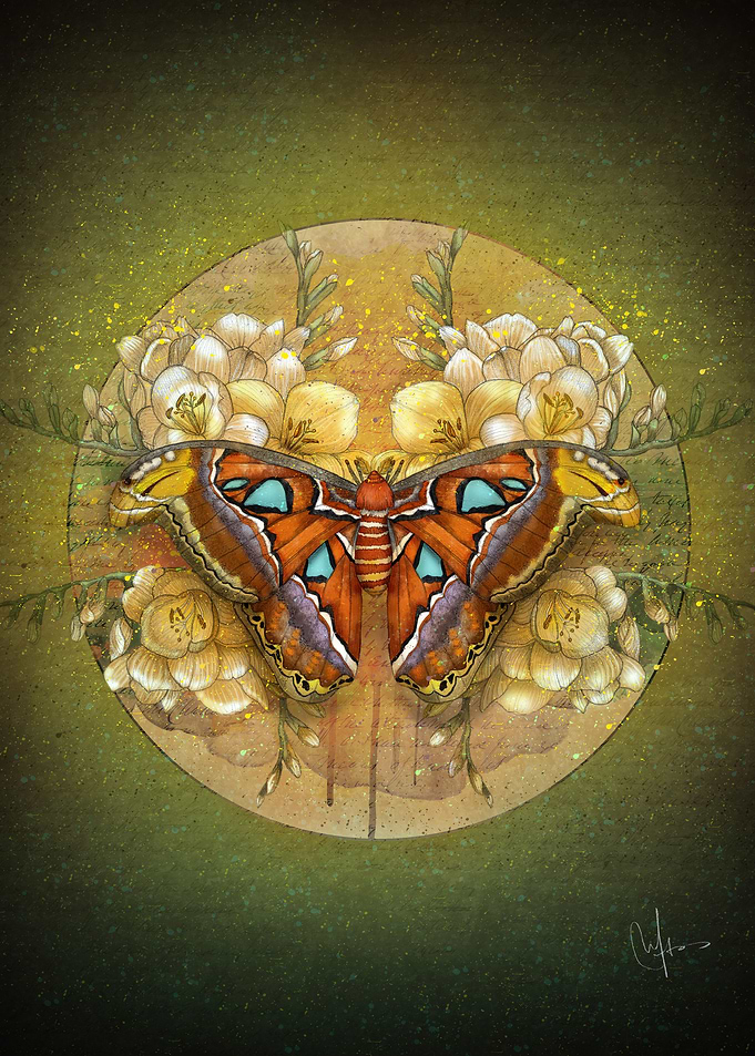 Atlas