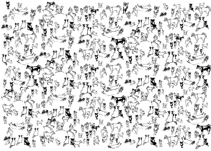 Little dogs