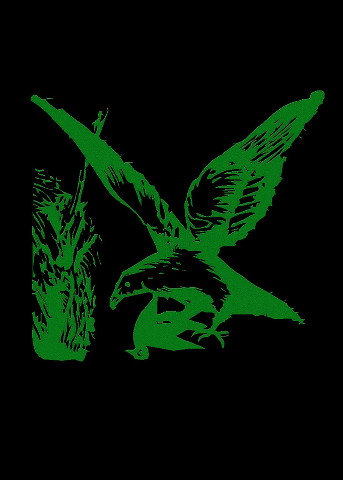 Bird 1