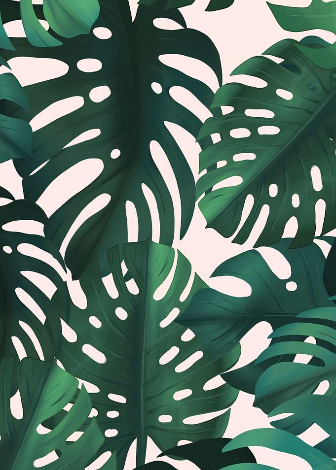 Tropical leaves