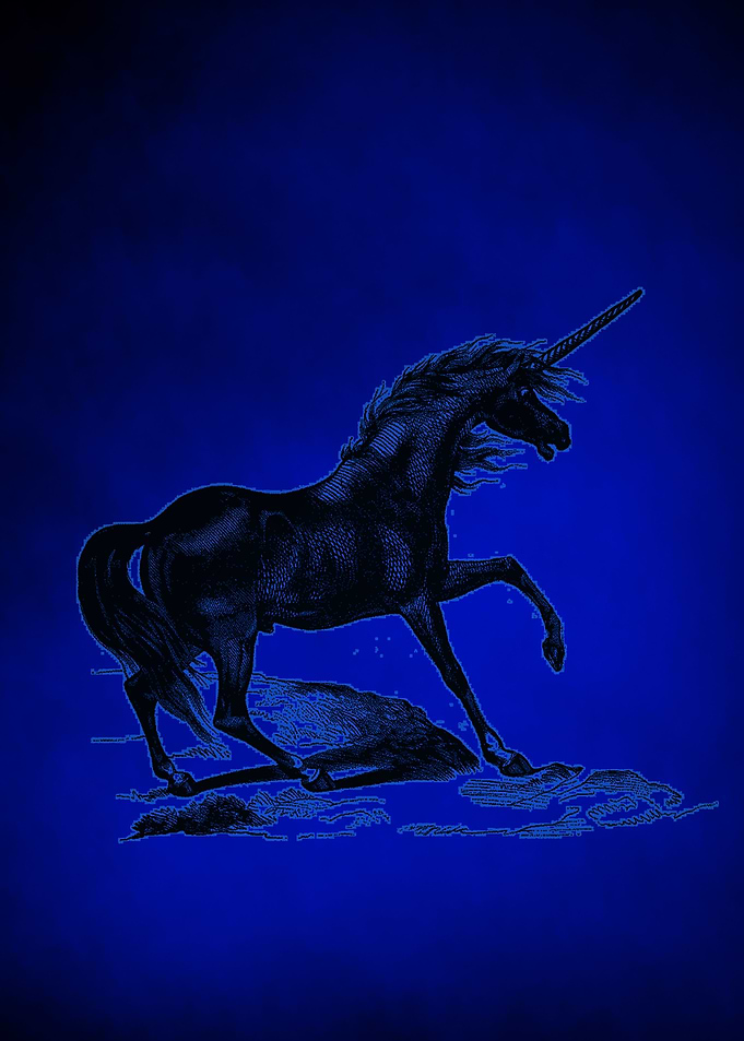Unicorn 1