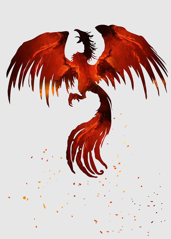 Phoenix nebula