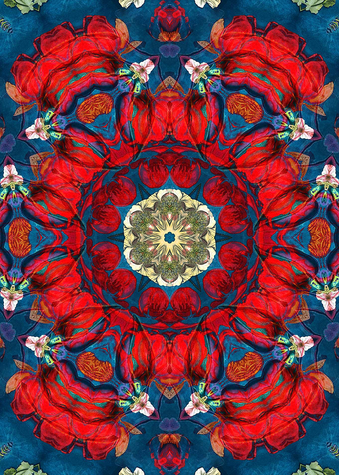 mandala red flowers