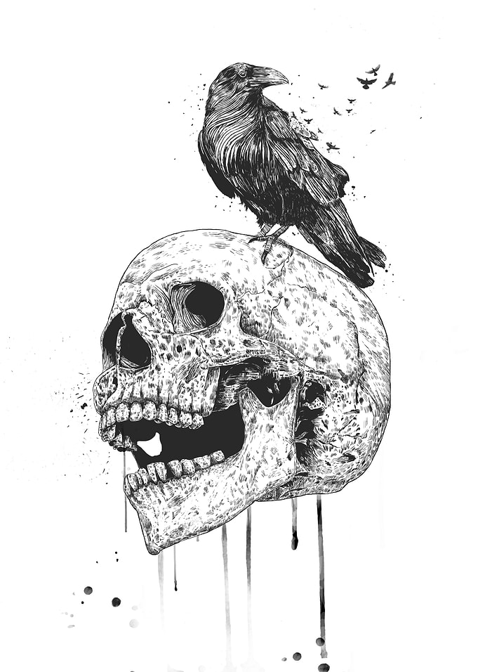 New skull (bw)