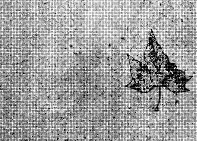 TEXTURED LEAF